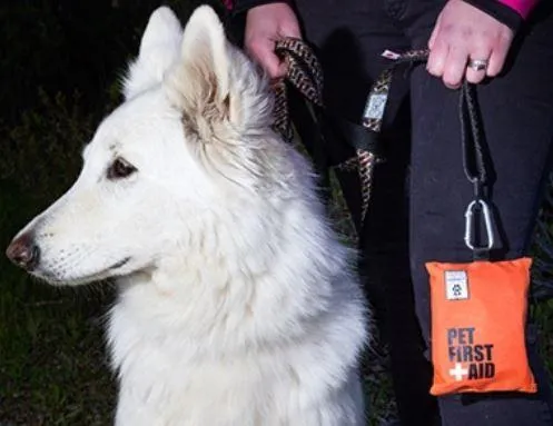 RC Pets Portable Pet First Aid Kit