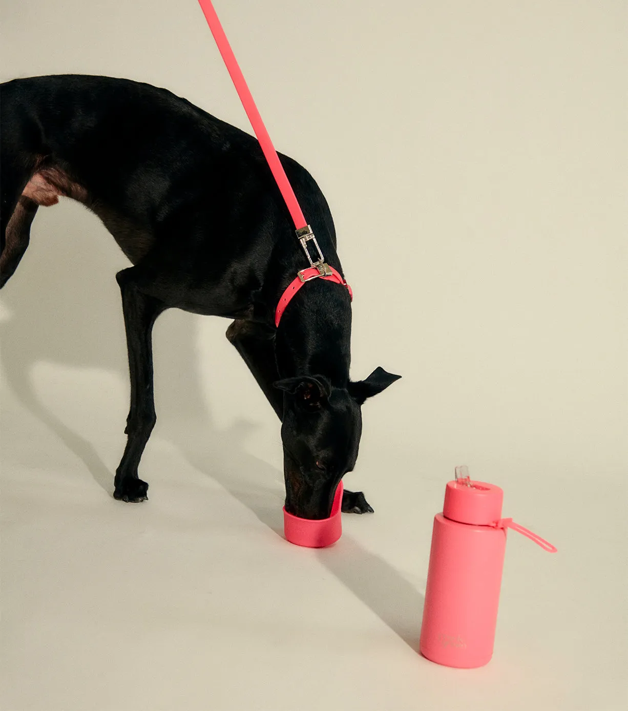 Silicone Pet Bowl