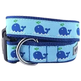 The Worthy Dog Squirt The Whale Dog Collar