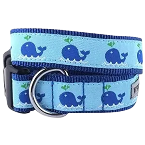 The Worthy Dog Squirt The Whale Dog Collar