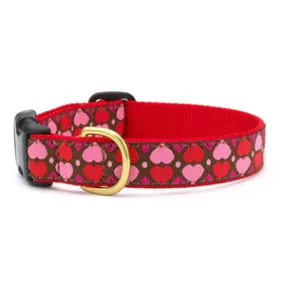 Up Country All Hearts Dog Collar