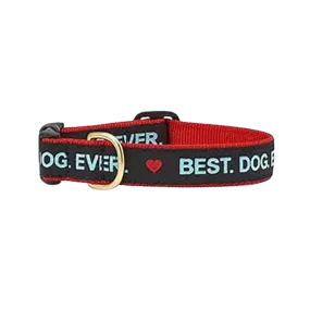 Up Country Best. Dog. Ever. Dog Collar