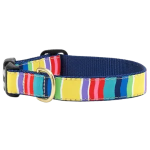 Up Country Colorful Stripe Dog Collar