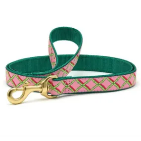 Up Country Coral Gables Dog Lead