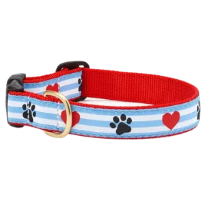 Up Country Pawprint Stripe Dog Collar